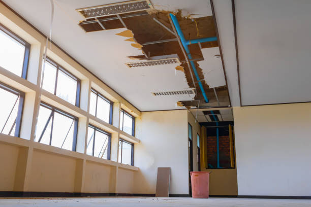 Best Fire Damage Restoration  in Dixon, IL