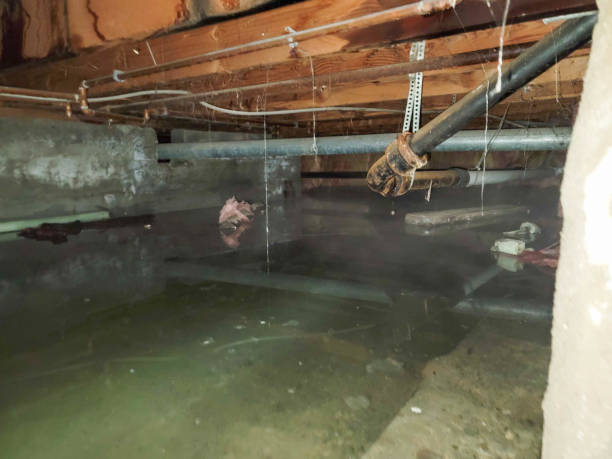 Best Ceiling water damage repair  in Dixon, IL