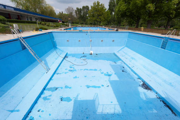 Best Local water damage restoration  in Dixon, IL