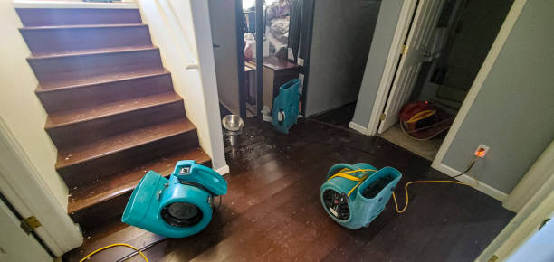 Dixon, IL Water damage restoration Company