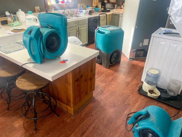 Best Commercial water damage restoration  in Dixon, IL