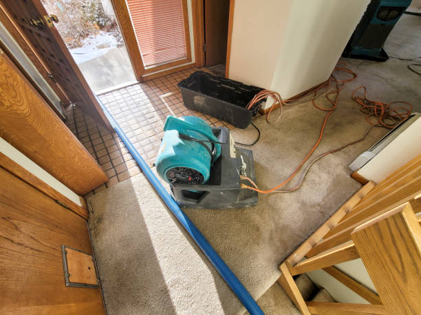Best 24-hour water damage restoration  in Dixon, IL