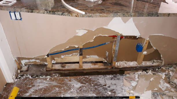 Best Sewage cleanup and water damage restoration  in Dixon, IL