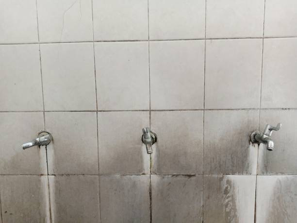 Best Water damage restoration mold remediation  in Dixon, IL