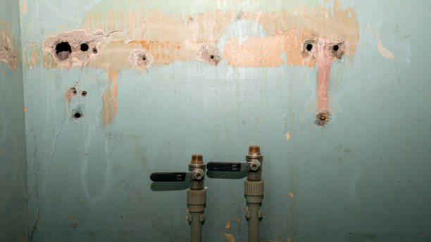 Best Residential water damage restoration  in Dixon, IL
