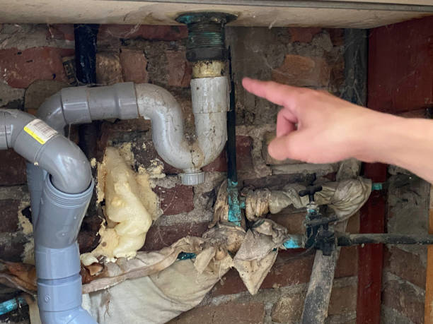 Best Mold removal after water damage  in Dixon, IL