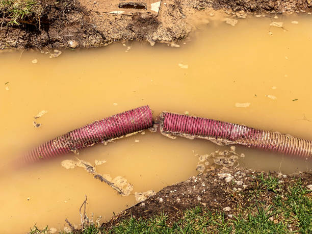 Water damage restoration mold remediation in Dixon, IL