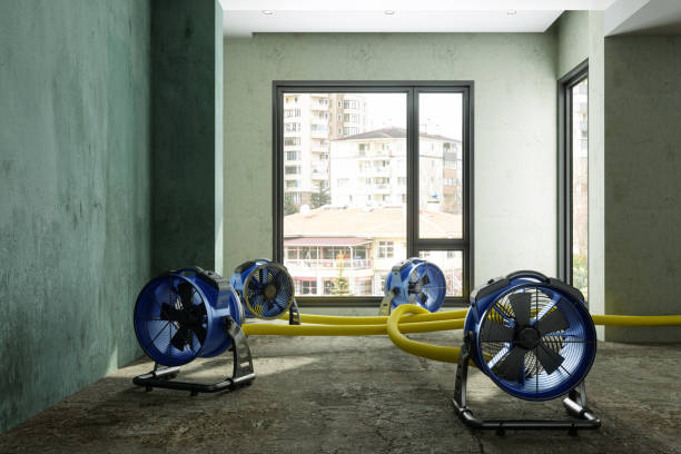 Best Commercial water damage restoration  in Dixon, IL
