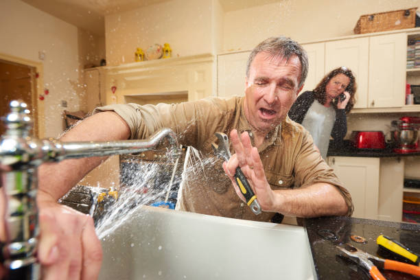 Best Water damage restoration near me  in Dixon, IL